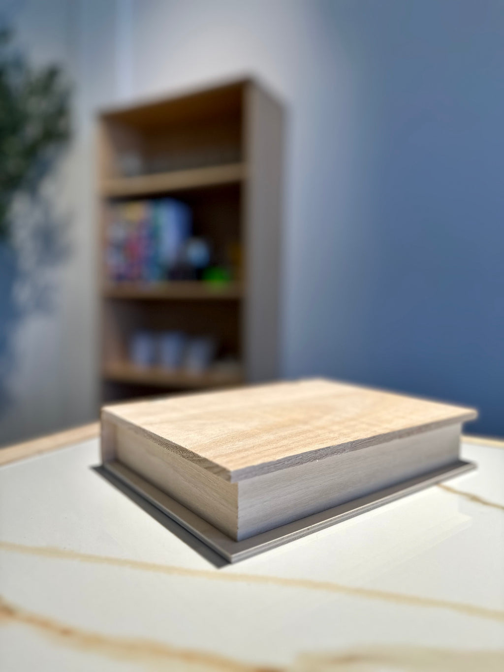Book Box Painting Ticket