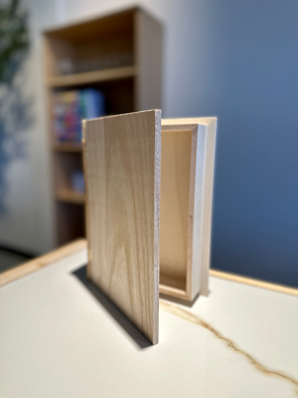 Book Box Painting Ticket
